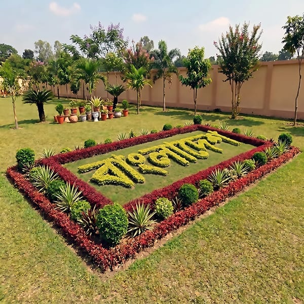 Bangladesh Topiary Lawn - Institutional Topiary Garden