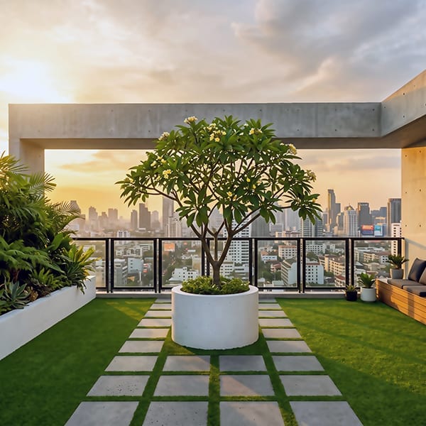 Sky Pavilion Terrace - High-Rise Rooftop Terrace with Specimen Tree